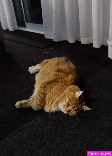 Urfavkiwitgirl OnlyFans Thumbnail #i3AeGWYnCK