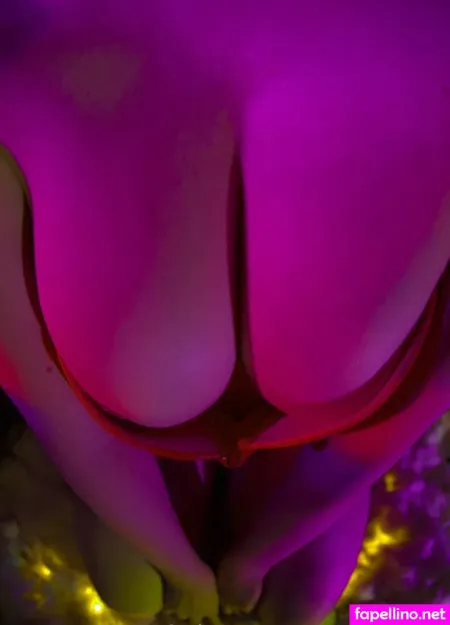 Uwupixie OnlyFans Thumbnail #vMM13B5OIp