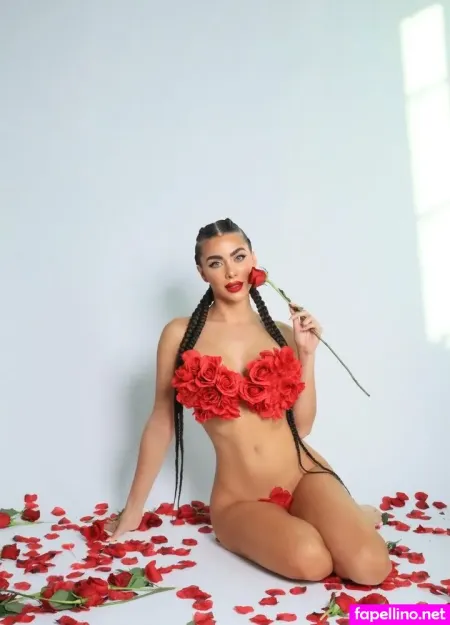 Vaccarivane Main Profile Photo