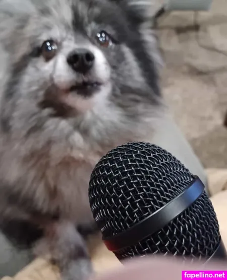 Vada Vaultgirl OnlyFans Thumbnail #gdeSUEpmp8