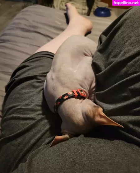 Valkyriekitten88 OnlyFans Thumbnail #AD62wNicLX