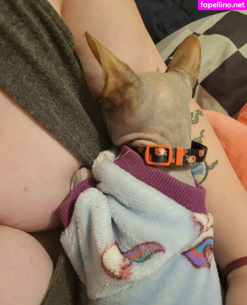 valkyriekitten88 Nude Leaked OnlyFans Photo #fzYkkOnfic