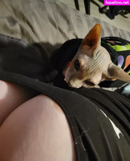 Valkyriekitten88 OnlyFans Thumbnail #pHjpATEkFs