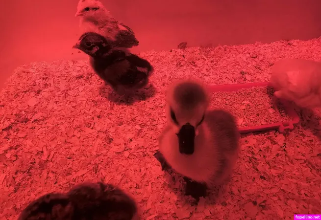 Valleypassions970 Main Profile Photo