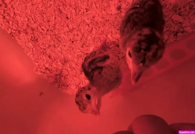 Valleypassions970 OnlyFans Thumbnail #gm6mSZGUdk