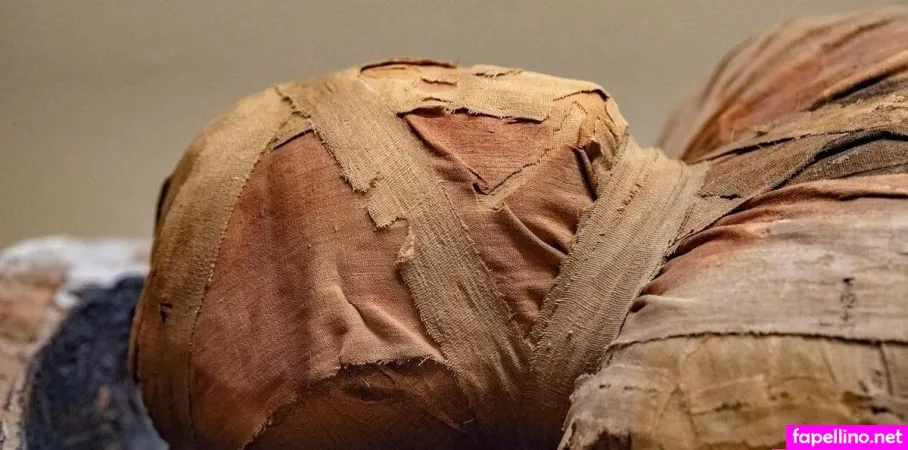 Vanessa Reinhard Main Profile Photo