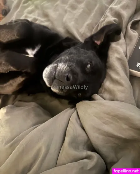 Vanessawildly OnlyFans Thumbnail #Sb5RrLJ5TE