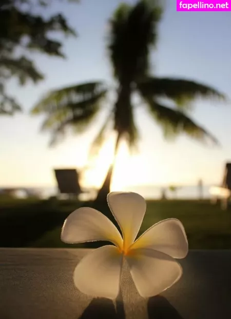 Vaniljepus OnlyFans Thumbnail #tNHf0V57qs