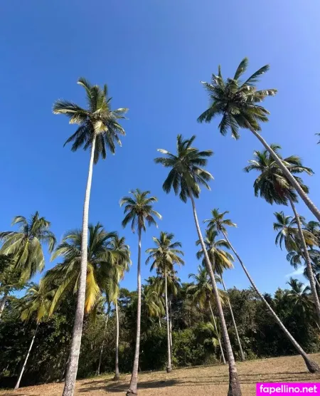 Vannessa Woods Main Profile Photo