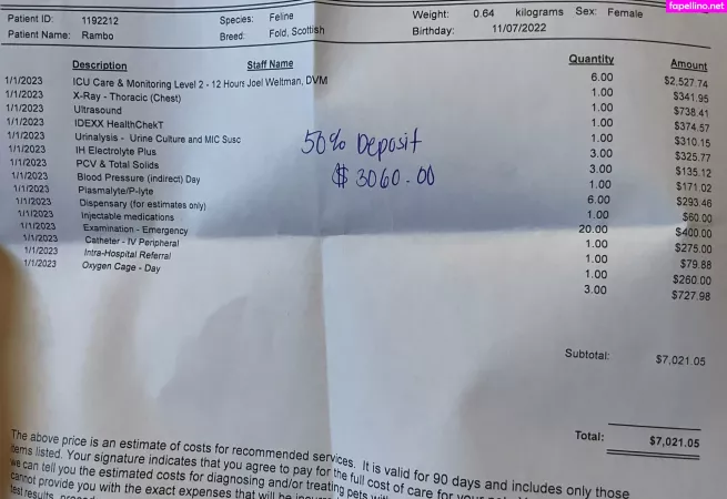 Vanniallfree OnlyFans Thumbnail #g9DFnYagbF