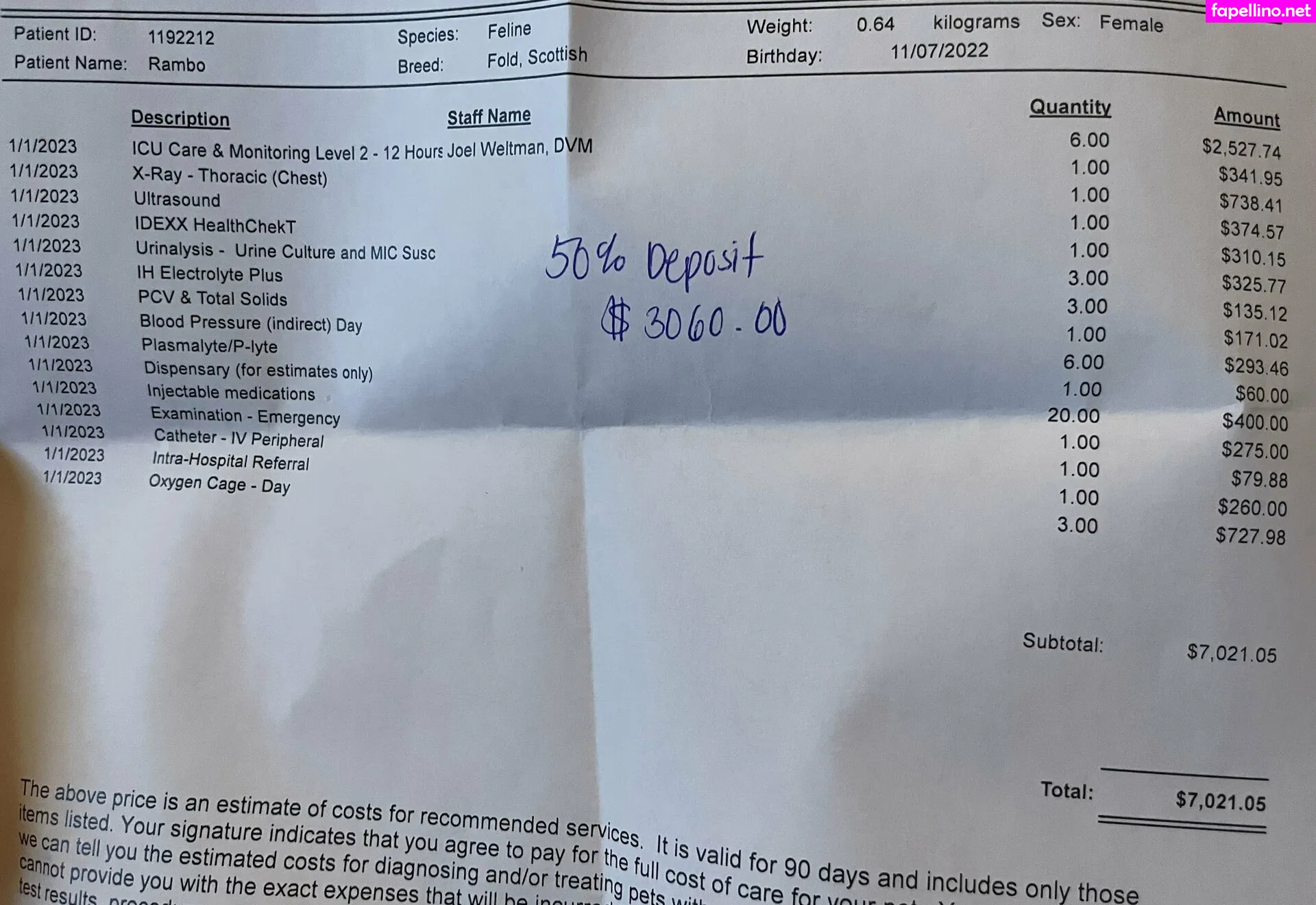 _rvalentine_, vanniallfree Nude Leaked OnlyFans Photo #g9DFnYagbF