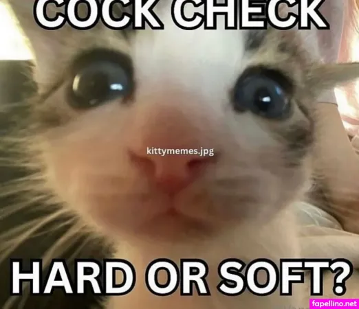 Vanplive OnlyFans Thumbnail #PtlWeRMkxS