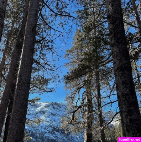 Vasiventures OnlyFans Thumbnail #LrOq7l470Y