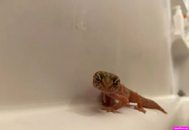 Vdawggin OnlyFans Thumbnail #4g9rIfkc6T