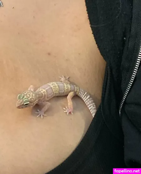 Vdawggin OnlyFans Thumbnail #ANAn8HFoTL