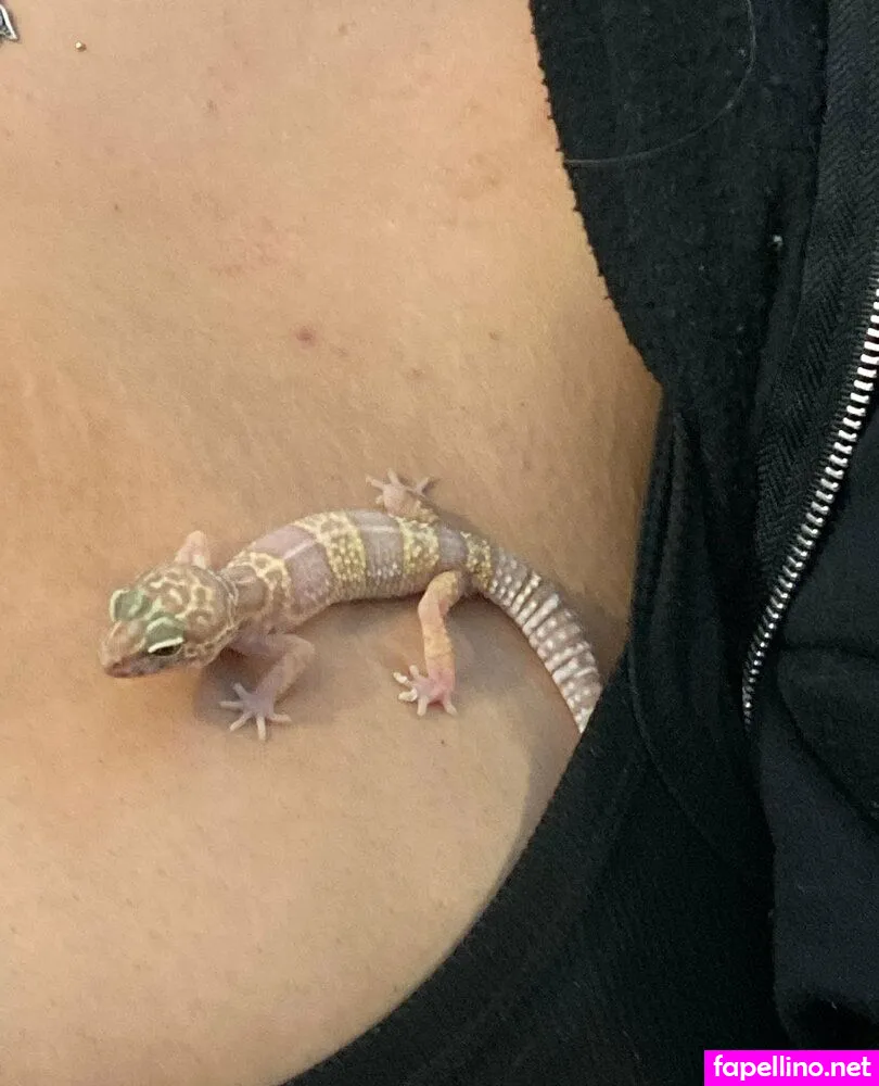 vdawggin Nude Leaked OnlyFans Photo #ANAn8HFoTL