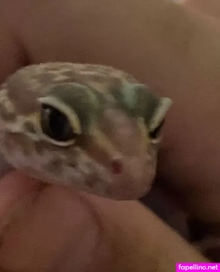 Vdawggin OnlyFans Thumbnail #VYCk9Ok5oQ