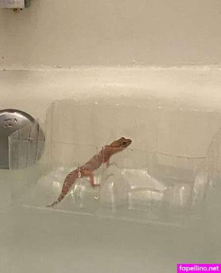 Vdawggin OnlyFans Thumbnail #XSHOStkGsE