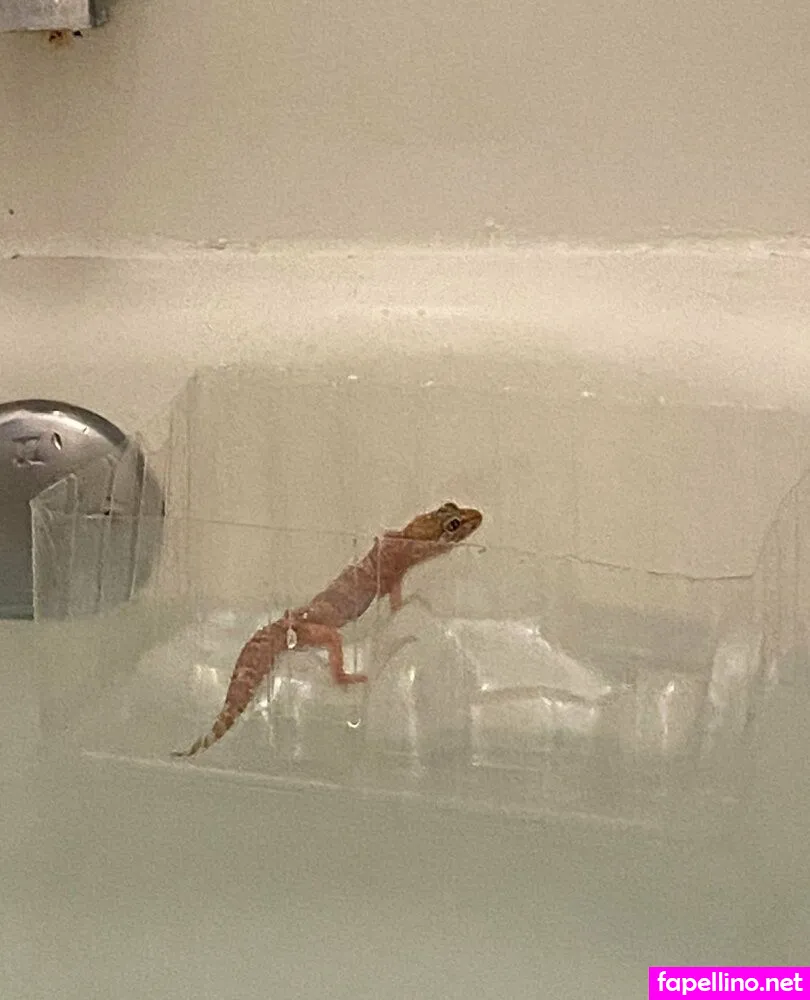 vdawggin Nude Leaked OnlyFans Photo #XSHOStkGsE