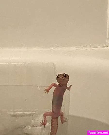 Vdawggin OnlyFans Thumbnail #bxm0HmQ6tw