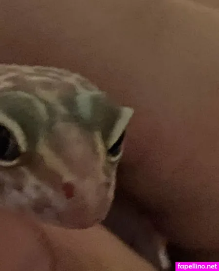 Vdawggin OnlyFans Thumbnail #m0XJTygeiy