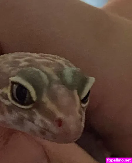 Vdawggin OnlyFans Thumbnail #pvTCK0xTJm