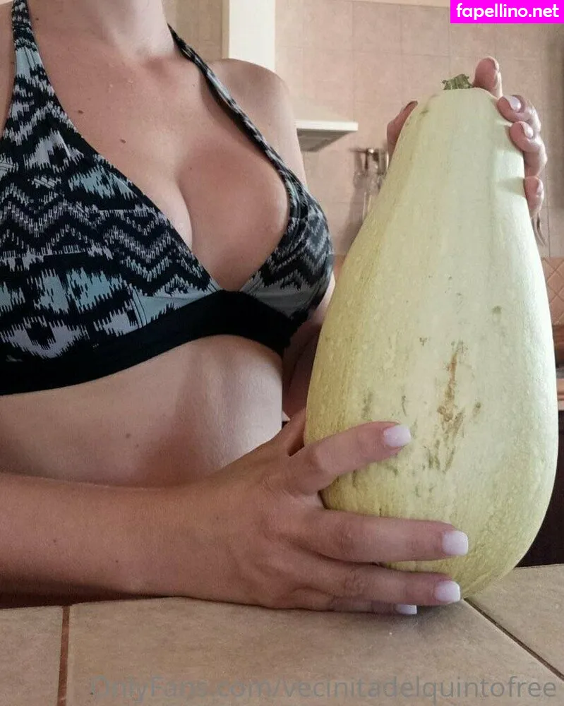 liz_05_dixson, vecinitadelquintofree Nude Leaked OnlyFans Photo #GrmMedc9zS