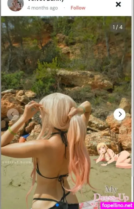 Velvet Bunny Main Profile Photo