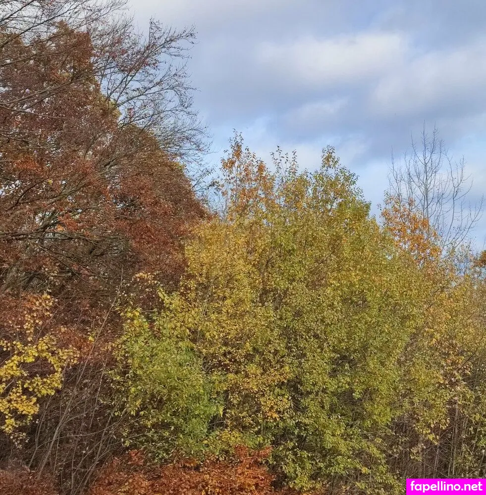 veritas_69, veritaswtf Nude Leaked OnlyFans Photo #gszcghEiYj