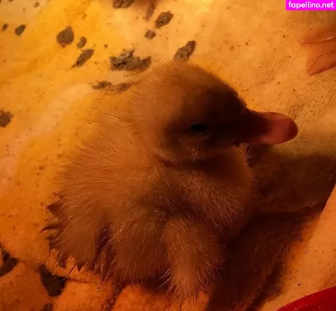 Veronica Wilson OnlyFans Thumbnail #5mMrQbfOPU