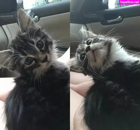 Veronica Wilson OnlyFans Thumbnail #KOudozrpRa