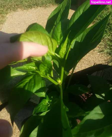 Veronikaplants OnlyFans Thumbnail #8pLdZ6S105