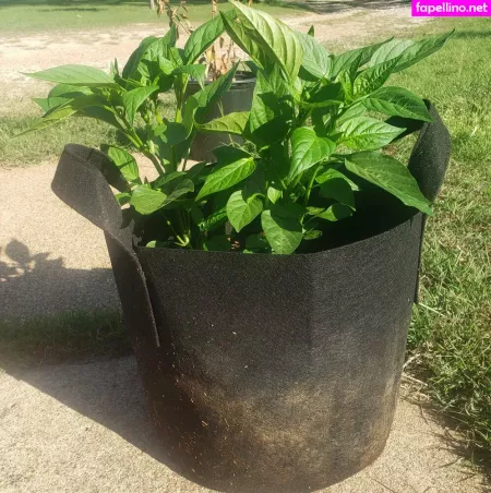 Veronikaplants OnlyFans Thumbnail #Y0Jg1hAj54