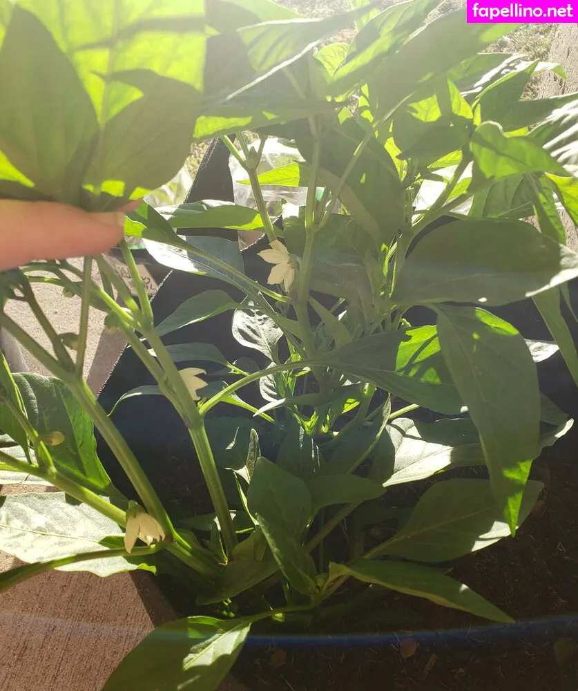 plantropia, veronikaplants Nude Leaked OnlyFans Photo #aaAkPRFYtY