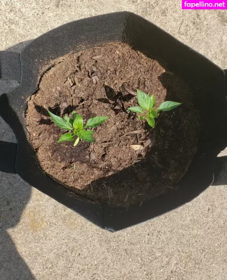 Veronikaplants OnlyFans Thumbnail #dmrfqKPdGG