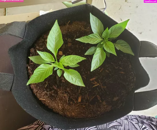 Veronikaplants OnlyFans Thumbnail #vNaFGdXCpd