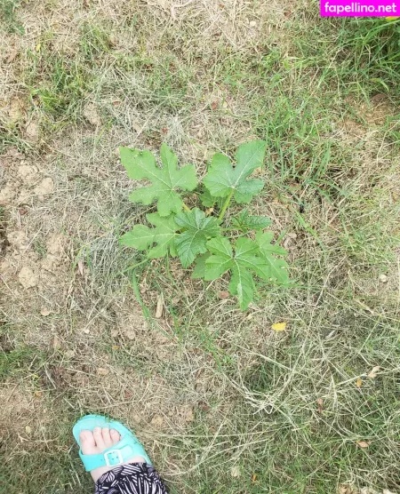 Veronikaplants OnlyFans Thumbnail #x4OTVspr0M