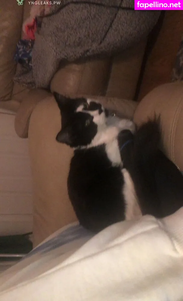 vickyyescobarr Nude Leaked OnlyFans Photo #OfXkj3d3xF