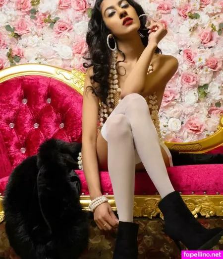 Vidya photo