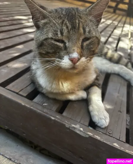 Vikavixx 2 OnlyFans Thumbnail #PshkGi3f42