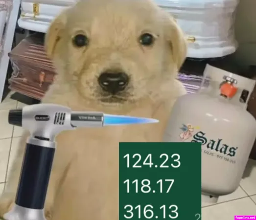 Vikavixx 2 OnlyFans Thumbnail #jpy2N7Peka