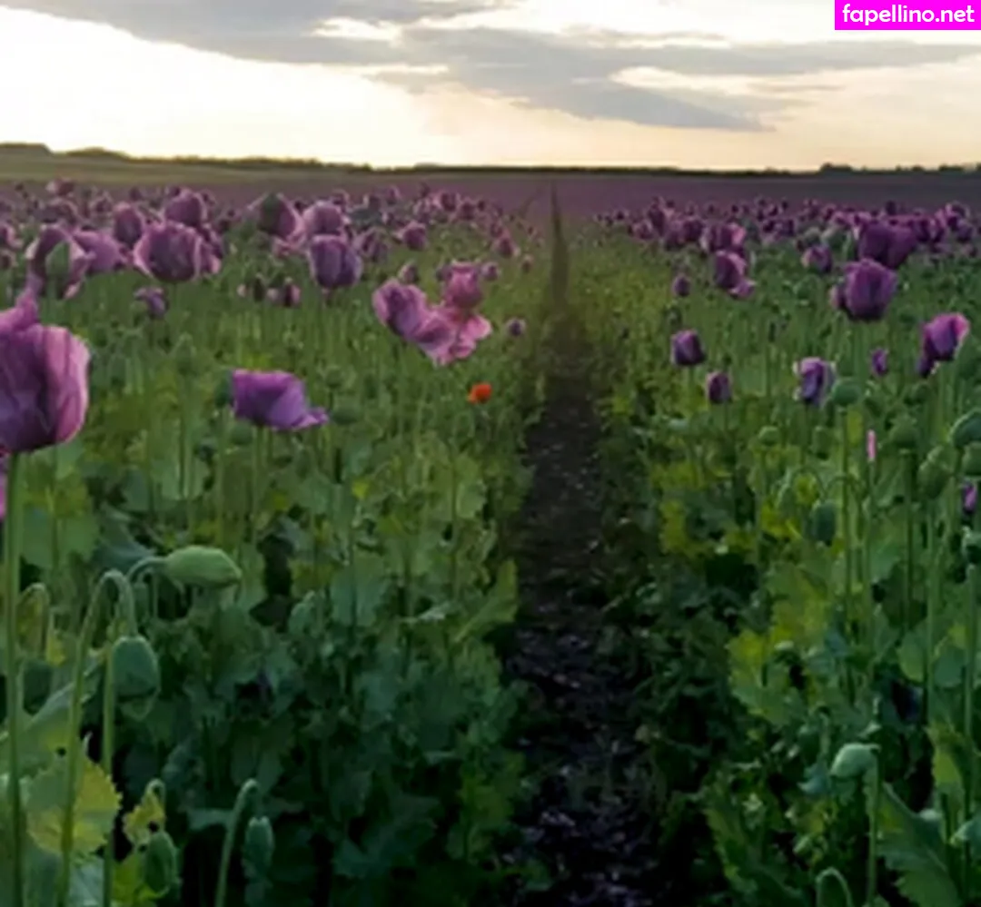 sexy-feet-in-stockings, violetdenier Nude Leaked OnlyFans Photo #HGB0VIdTpL