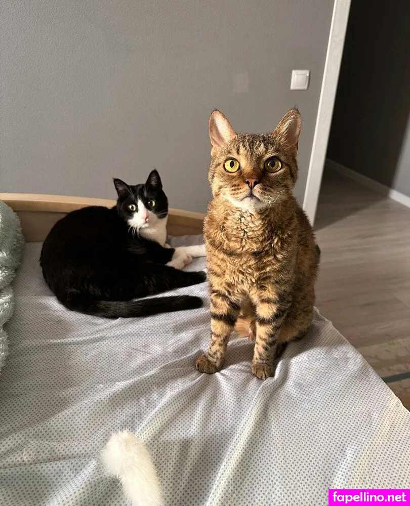 violet_lilymoon Nude Leaked OnlyFans Photo #vhHllmS02w