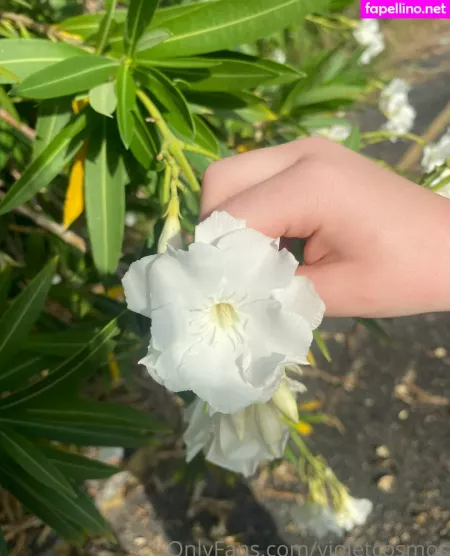 Violetcosmos OnlyFans Thumbnail #Vd53rds3dV