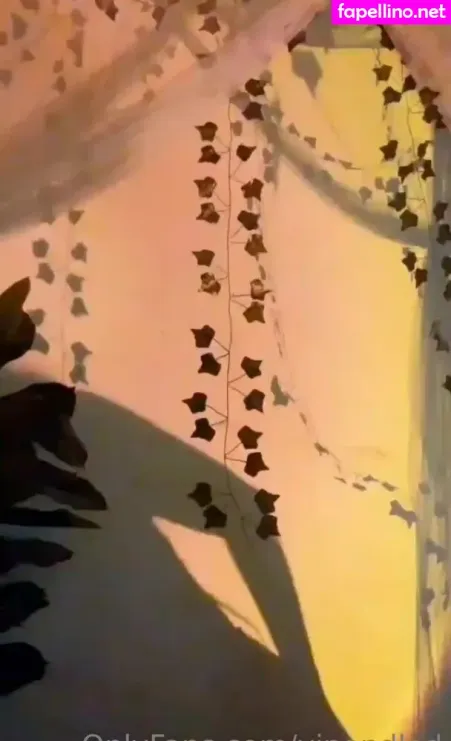 Vipondlad OnlyFans Thumbnail #4PJR6afBWz