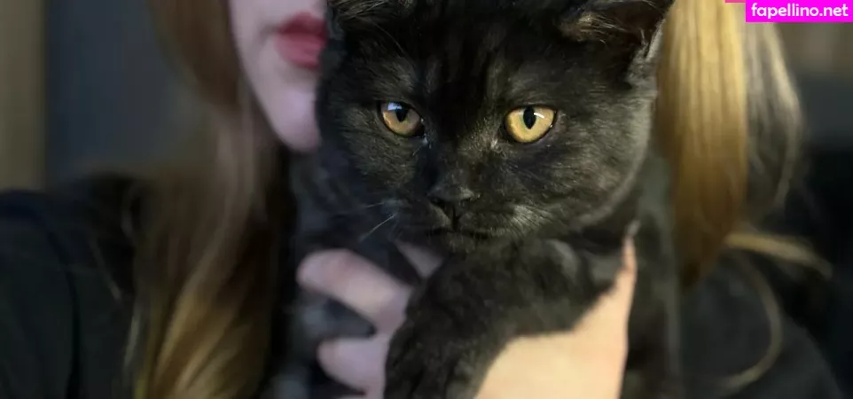 Vwemor OnlyFans Thumbnail #nHfY5Hycjo