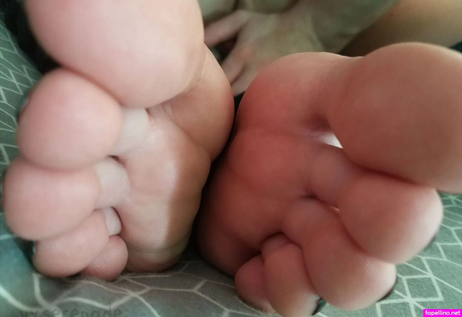 vxserenade Nude Leaked OnlyFans Photo #CXnrH92Qad