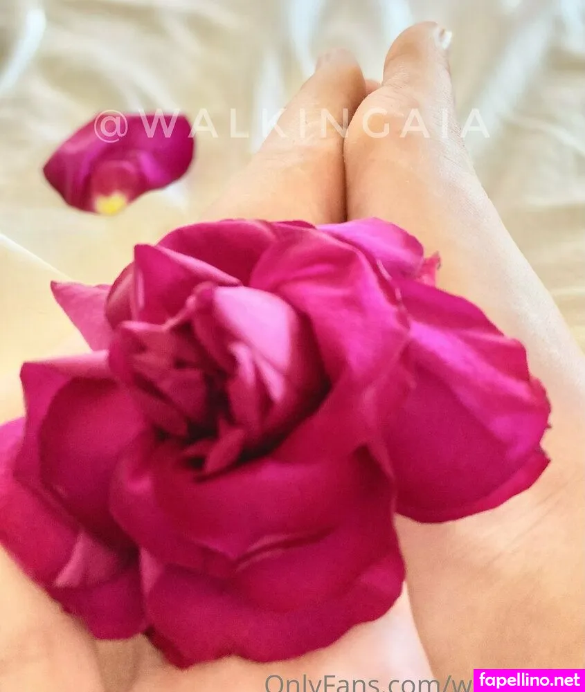 walkingaia Nude Leaked OnlyFans Photo #PteqLhbMgi