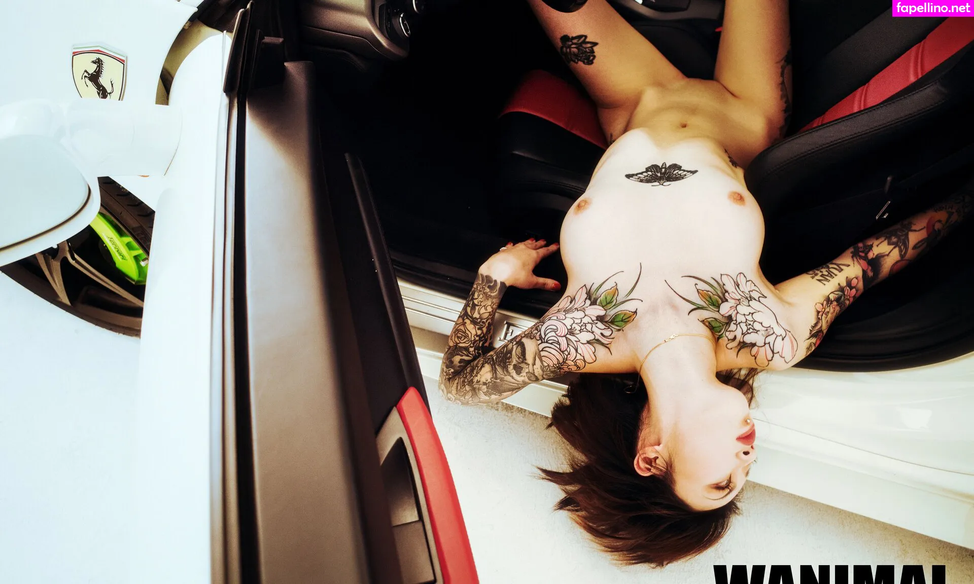 wanimal912 Nude Leaked OnlyFans Photo #FdCVpSCxcU