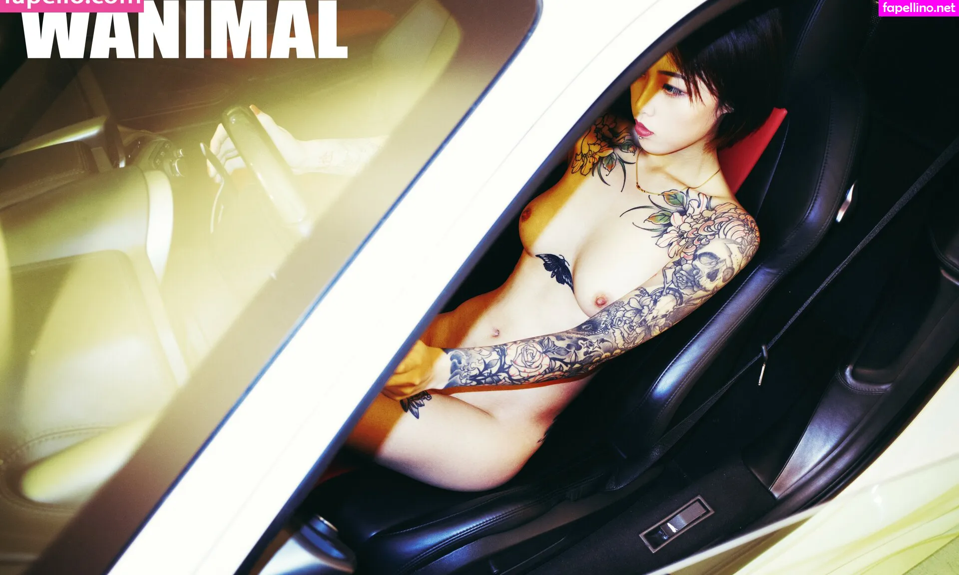 wanimal912 Nude Leaked OnlyFans Photo #lsBbkZGdEc